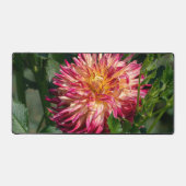 Orange Chrysanthemum Photographie, Fleur canadienn (Recto)