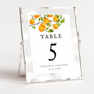 Orange Citrus Rustique Mariage Numéro de table