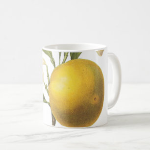 orange(Citrus sp.) par Redouté Coffee Mug