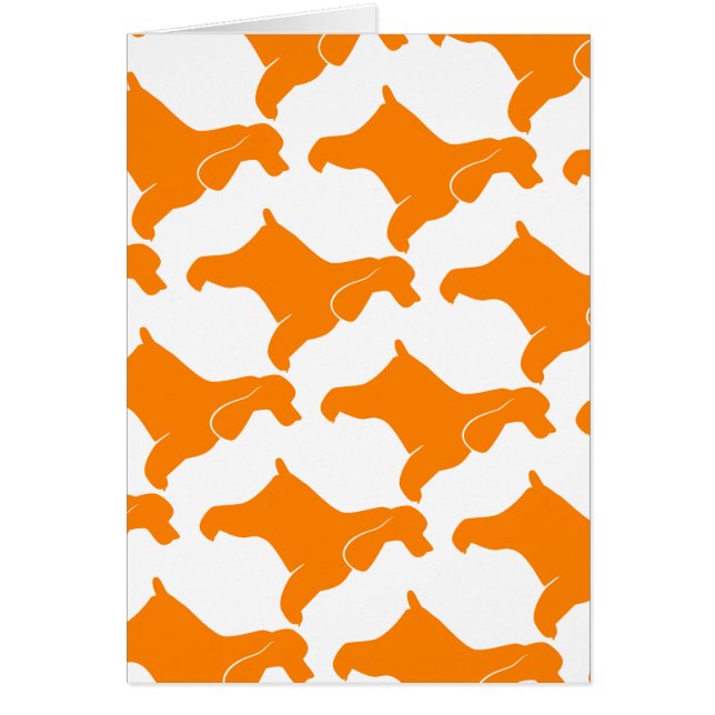 Orange Cocker Spaniel (Devant)