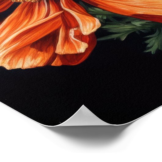 Orange Cosmos Fleurs Art Imprimer Poster (Coin)