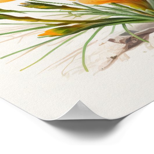 Orange Crocus Flowers Art Imprimer Poster (Coin)