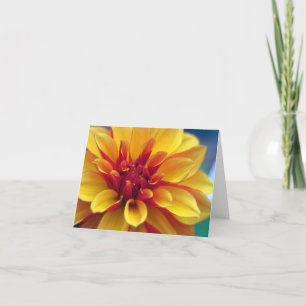 Orange Dahlia Greeting Card Kaart