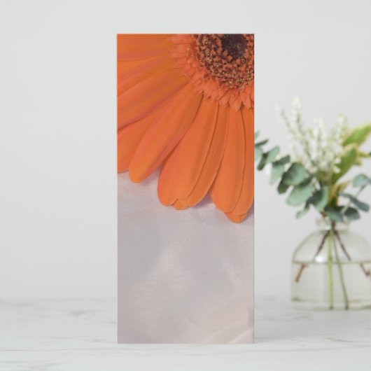Orange Daisy et White Satin Wedding Programme (Debout devant)