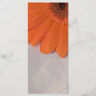 Orange Daisy et White Satin Wedding Programme