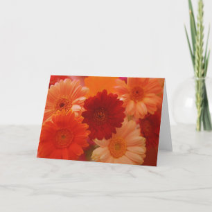 Orange Daisy Flowers Photo Note ou Carte de voeux