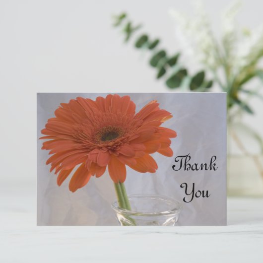 Orange Daisy in Vase Flat Merci Notes (Debout devant)