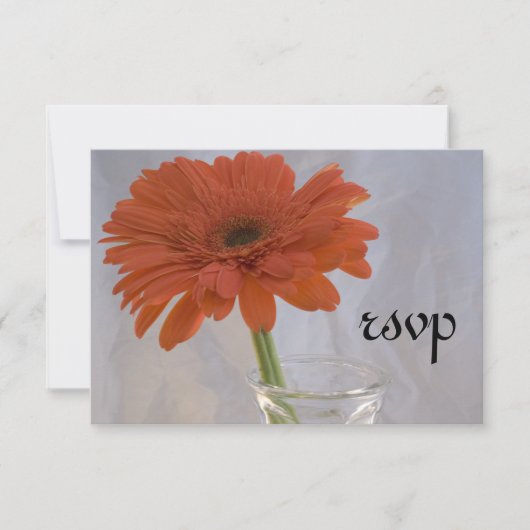Orange Daisy in Vase Wedding Carte de réponse RSVP (Devant)