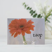 Orange Daisy in Vase Wedding Carte de réponse RSVP (Debout devant)