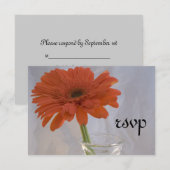 Orange Daisy in Vase Wedding Carte de réponse RSVP (Devant / Derrière)