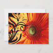 Orange Daisy Wedding RSVP (Dos)