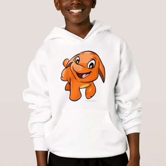 Orange de Poogle (Devant)