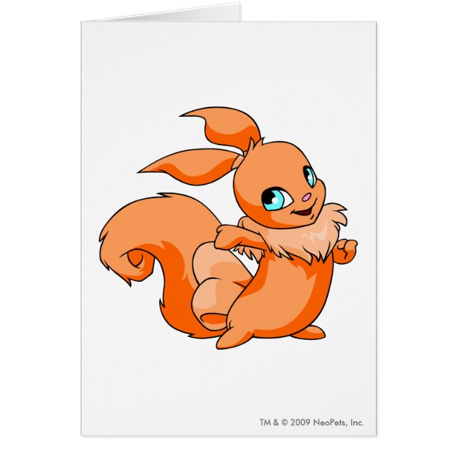 Orange d'Usul (Devant)