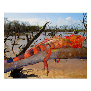 Orange et lézard noir en Margarita Poster brillant