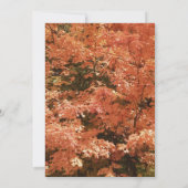 Orange Fall laisse famille Réunion Invitation (Dos)