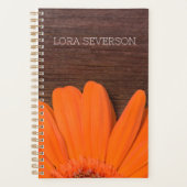 Orange Gerber Daisy et rustique Barn Wood (Devant)