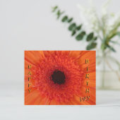 Orange Gerbera Gros plan Carte postale Joyeuse Ann (Debout devant)