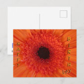 Orange Gerbera Gros plan Carte postale Joyeuse Ann (Devant / Derrière)