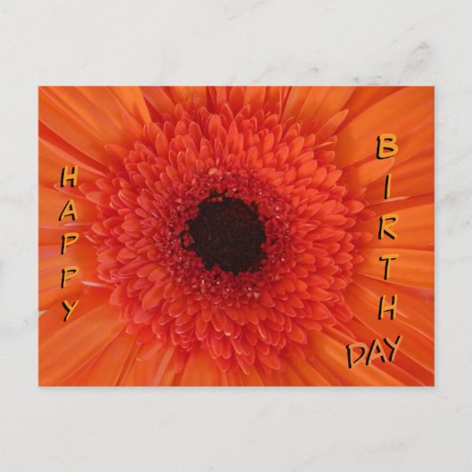 Orange Gerbera Gros plan Carte postale Joyeuse Ann (Devant)