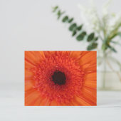 Orange Gerbera Gros plan do-it-yourself carte post (Debout devant)