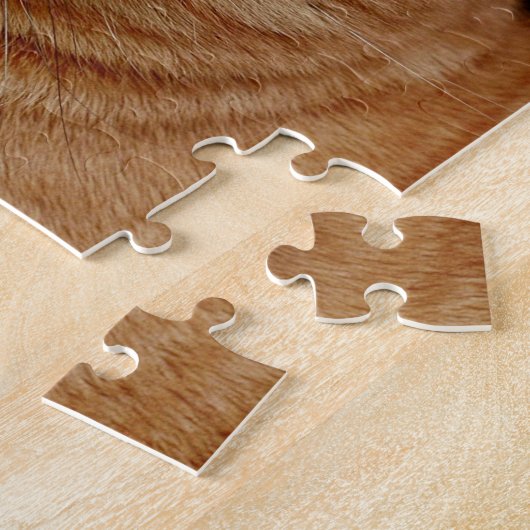 ORANGE GINGER TABBY CHAT JIGSAW PUZZLE (Côté)