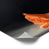 Orange Gladiolus Fleurs Art Imprimer Poster (Coin)