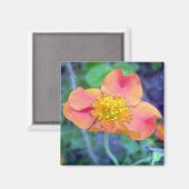 Orange Glow 3 Magnet (Recto/Verso)