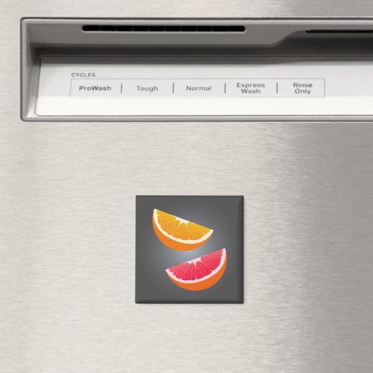 Orange & Grapefruit Slice Refrigerator Magnet (In Situ (Lave-vaisselle))