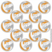 orange gray volleyball team stickers 13 athletes (Devant)