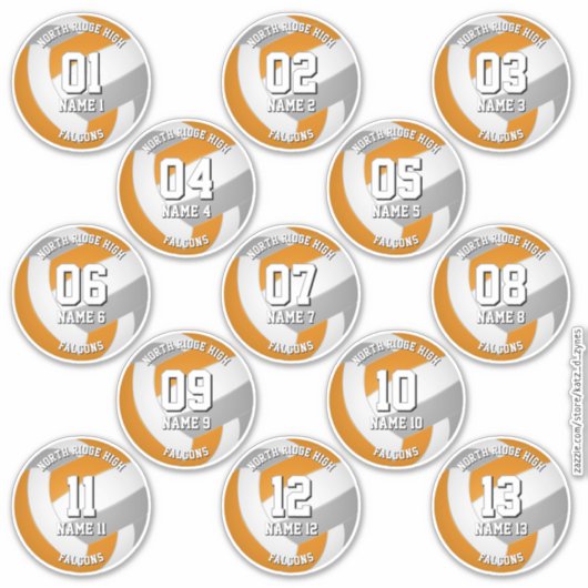 orange gray volleyball team stickers 13 athletes (Devant)