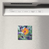 Orange Hawkweed 1 Magnet (In Situ (Lave-vaisselle))