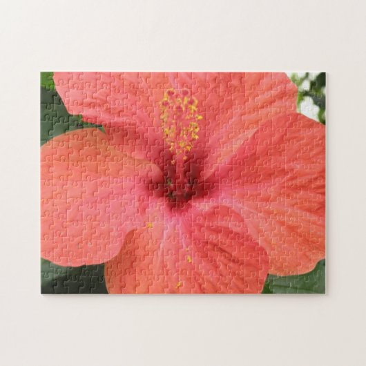 Orange Hibiscus Fleur Puzzle (Horizontal)