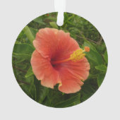 Orange Hibiscus Fleur Tropical Floral (dos)