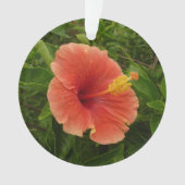 Orange Hibiscus Fleur Tropical Floral (devant)