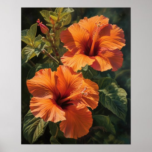 Orange Hibiscus Fleurs Art Imprimer Poster (Devant)