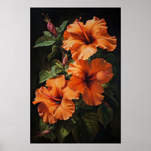 Orange Hibiscus Flower Art Imprimer Poster (Devant)