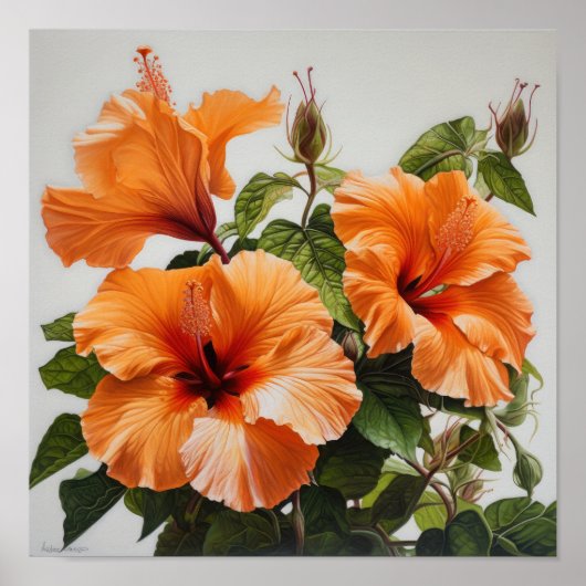 Orange Hibiscus Flower Art Imprimer Poster (Devant)