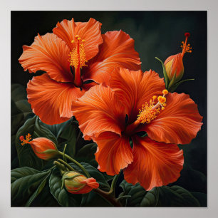 Orange Hibiscus Flower Art Imprimer Poster