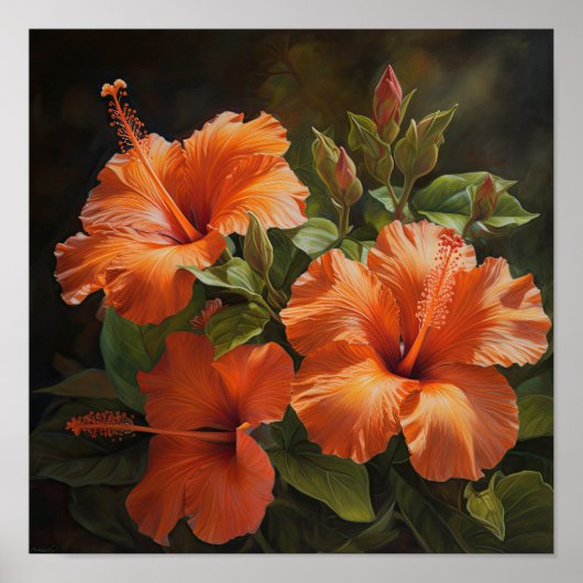 Orange Hibiscus Flower Art Imprimer Poster (Devant)