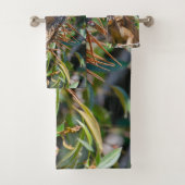 Orange Iguana, Belize Photographie (En situation)