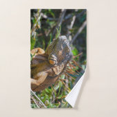 Orange Iguana, Belize Photographie (Serviette à main)