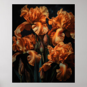 Orange Iris Fleurs Art Imprimer Poster