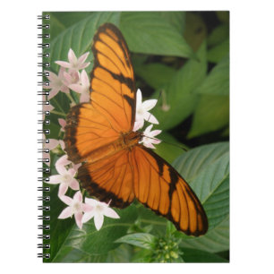 Orange Julia Butterfly Carnet