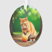 Orange Kitty (devant)