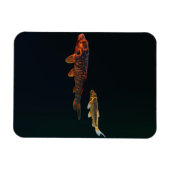 Orange Koi and Gold Koi Magneet (Horizontaal)