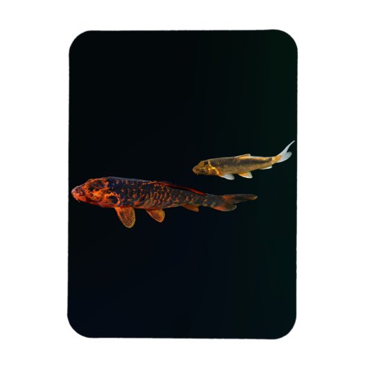 Orange Koi and Gold Koi Magneet (Verticaal)