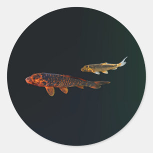 Orange Koi and Gold Koi Ronde Sticker