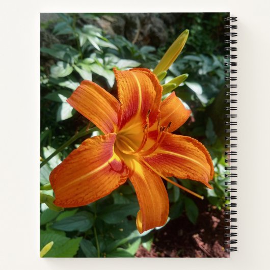 Orange Lily Green Feuille Journal photo (Dos)