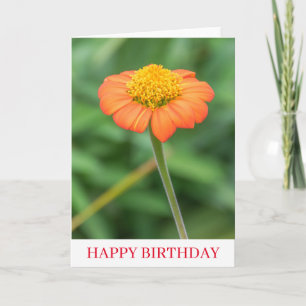 Orange marguerite proche carte d'anniversaire
