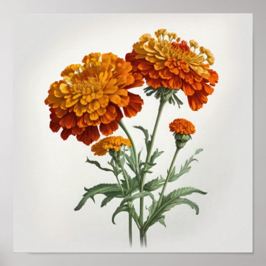 Orange Marigold Flowers Art Imprimer Poster (Devant)